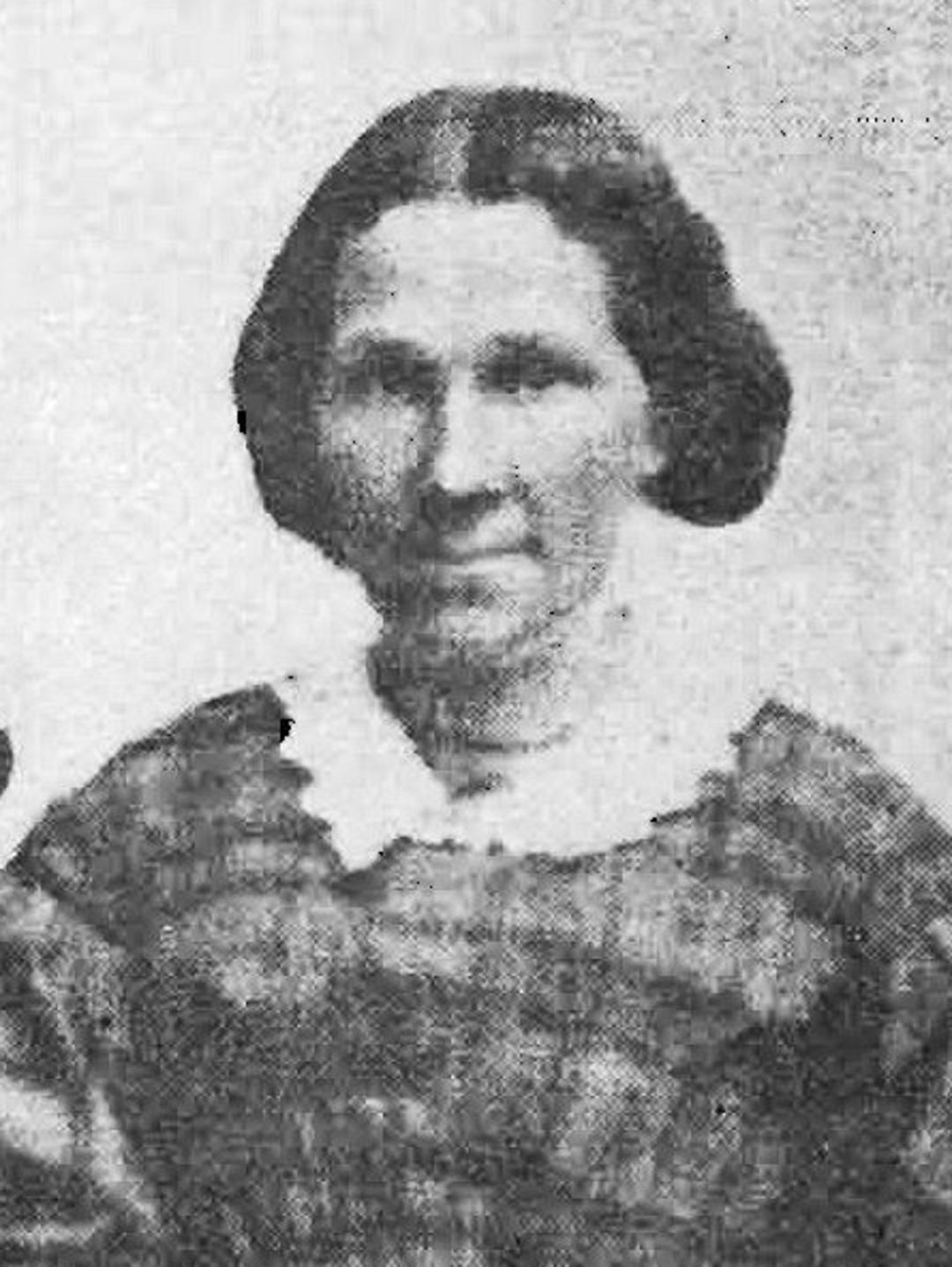 Elizabeth Stowe (1824 - 1913) Profile